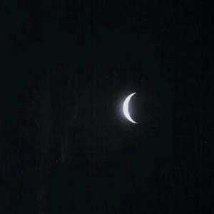 调教母狗吞精在线
