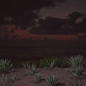 调教母狗吞精在线
